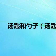 汤匙和勺子（汤匙）