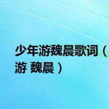 少年游魏晨歌词（少年游 魏晨）