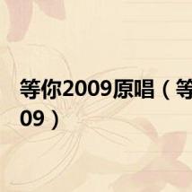 等你2009原唱（等你2009）