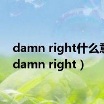 damn right什么意思（damn right）