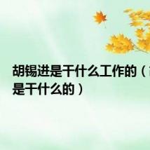 胡锡进是干什么工作的（胡锡进是干什么的）