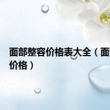 面部整容价格表大全（面部整容价格）