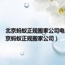 北京蚂蚁正规搬家公司电话（北京蚂蚁正规搬家公司）