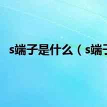 s端子是什么（s端子）