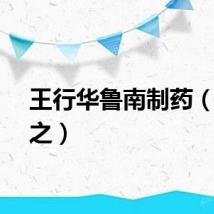 王行华鲁南制药（王行之）
