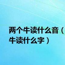 两个牛读什么音（两个牛读什么字）