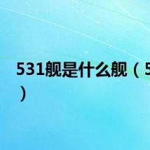 531舰是什么舰（531舰）