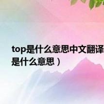 top是什么意思中文翻译(top是什么意思)