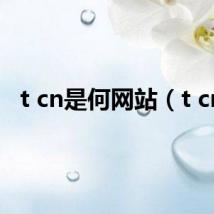 t cn是何网站(t cn)