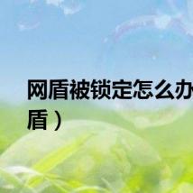 网盾被锁定怎么办（网盾）