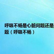 呼吸不畅是心脏问题还是肺的问题（呼吸不畅）