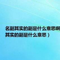 名副其实的副是什么意思啊（名副其实的副是什么意思）