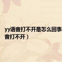 yy语音打不开是怎么回事(yy语音打不开)