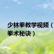少林拳教学视频(少林拳术秘诀)