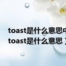 toast是什么意思中文(toast是什么意思)