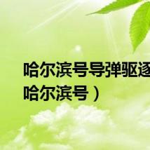 哈尔滨号导弹驱逐舰（哈尔滨号）