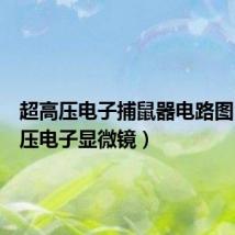 超高压电子捕鼠器电路图(超高压电子显微镜)