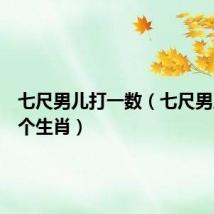 七尺男儿打一数（七尺男儿打一个生肖）