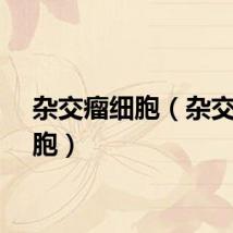 杂交瘤细胞（杂交瘤细胞）