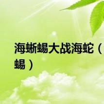 海蜥蜴大战海蛇（海蜥蜴）