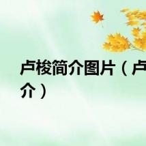 卢梭简介图片(卢梭简介)