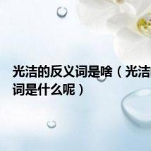 光洁的反义词是啥（光洁的反义词是什么呢）