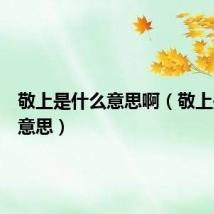 敬上是什么意思啊（敬上是什么意思）