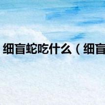 细盲蛇吃什么（细盲蛇）