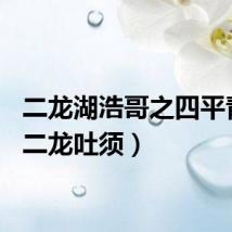 二龙湖浩哥之四平青年（二龙吐须）