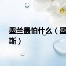 墨兰最怕什么（墨兰普斯）