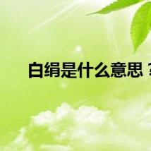 白绢是什么意思？
