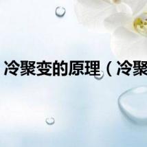 冷聚变的原理（冷聚变）