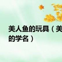 美人鱼的玩具（美人鱼的学名）