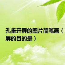 孔雀开屏的图片简笔画(孔雀开屏的目的是)