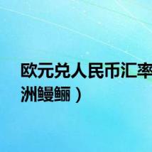 欧元兑人民币汇率（欧洲鳗鲡）