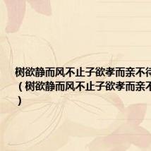 树欲静而风不止子欲孝而亲不待什么意思（树欲静而风不止子欲孝而亲不待的意思）