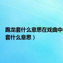 跑龙套什么意思在戏曲中（跑龙套什么意思）