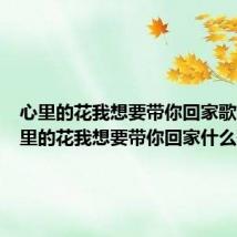 心里的花我想要带你回家歌谱(心里的花我想要带你回家什么歌)