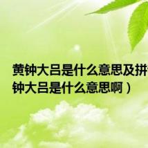 黄钟大吕是什么意思及拼音（黄钟大吕是什么意思啊）
