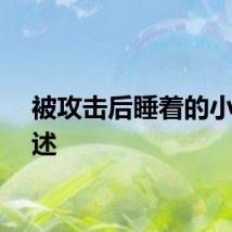 被攻击后睡着的小说描述