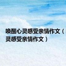 唤醒心灵感受亲情作文(唤醒心灵感受亲情作文)