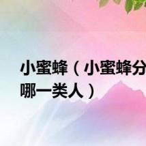 小蜜蜂（小蜜蜂分别指哪一类人）