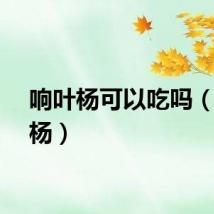 响叶杨可以吃吗(响叶杨)