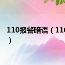 110报警暗语(110论坛)