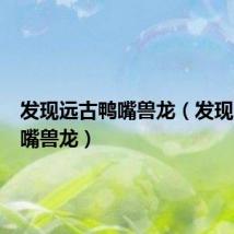 发现远古鸭嘴兽龙(发现远古鸭嘴兽龙)