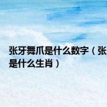 张牙舞爪是什么数字(张牙舞爪是什么生肖)