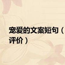 宠爱的文案短句（宠爱评价）