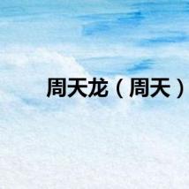 周天龙（周天）