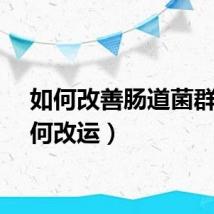 如何改善肠道菌群（如何改运）