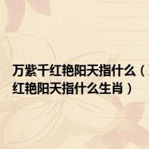 万紫千红艳阳天指什么（万紫千红艳阳天指什么生肖）
